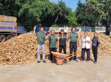 สหกรณ์การเกษตรนิคมฯ พิมาย จำกัด “ เปิดลานรับซื้อมันสำปะหลัง ... พารามิเตอร์รูปภาพ 4