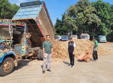 สหกรณ์การเกษตรนิคมฯ พิมาย จำกัด “ เปิดลานรับซื้อมันสำปะหลัง ... พารามิเตอร์รูปภาพ 3