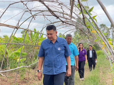 โครงการส่งเสริมคุณภาพชีวิตด้วยเศรษฐกิจพอเพียงของสมาชิกกลุ่มเกษตรกรทำไร่หนองกราด ... พารามิเตอร์รูปภาพ 1