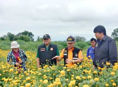 ลงพื้นที่สหกรณ์การเกษตรในเขตปฏิรูปที่ดินปากช่อง (คทช.) จำกัด พารามิเตอร์รูปภาพ 4