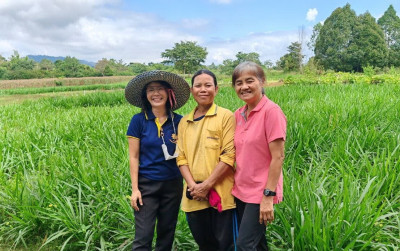 ติดตามการใช้เงินกู้กองทุน​พัฒนา​สหกรณ์​ ... พารามิเตอร์รูปภาพ 1