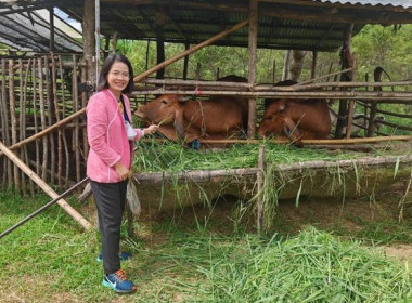 ติดตามการใช้เงินกู้กองทุน​พัฒนา​สหกรณ์​ ... พารามิเตอร์รูปภาพ 1