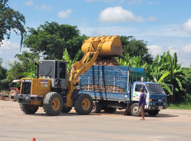 สหกรณ์การเกษตรจักราช จำกัด รวบรวมมันสำปะหลัง สมาชิกสหกรณ์ฯ ... พารามิเตอร์รูปภาพ 5