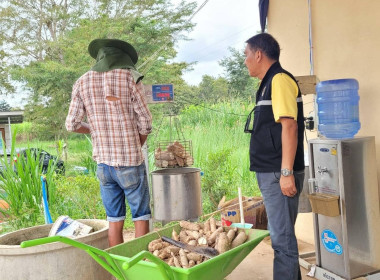 สหกรณ์การเกษตรจักราช จำกัด รวบรวมมันสำปะหลัง สมาชิกสหกรณ์ฯ ... พารามิเตอร์รูปภาพ 1