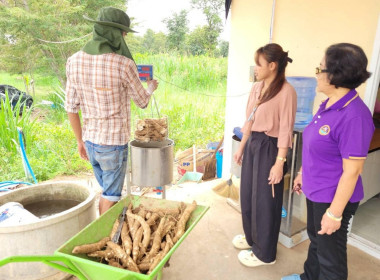 สหกรณ์การเกษตรจักราช จำกัด รวบรวมมันสำปะหลัง สมาชิกสหกรณ์ฯ ... พารามิเตอร์รูปภาพ 2