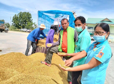 สหกรณ์การเกษตรบัวลาย จำกัด เปิดลานรับซื้อผลผลิตทางเกษตรกร ... พารามิเตอร์รูปภาพ 2