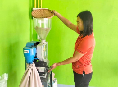 สหกรณ์การเกษตรบัวลาย จำกัด เปิดลานรับซื้อผลผลิตทางเกษตรกร ... พารามิเตอร์รูปภาพ 5