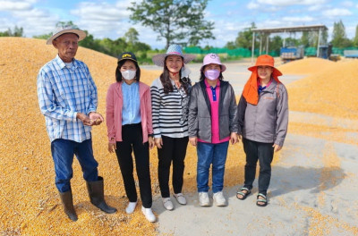 ติดตามการรวบรวม​ผลผลิต​ของสหกรณ์​การเกษตร​เพื่อ​การตลาด​ลูกค้า​ธ.ก.ส.นครราชสีมา​ จำกัด​ ได้เปิดจุดรับซื้อข้าวโพด​เลี้ยง​สัตว์​ ... พารามิเตอร์รูปภาพ 1