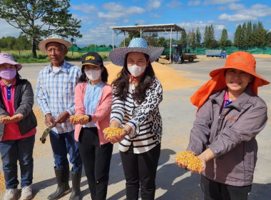 ติดตามการรวบรวม​ผลผลิต​ของสหกรณ์​การเกษตร​เพื่อ​การตลาด​ลูกค้า​ธ.ก.ส.นครราชสีมา​ จำกัด​ ได้เปิดจุดรับซื้อข้าวโพด​เลี้ยง​สัตว์​ ... พารามิเตอร์รูปภาพ 4