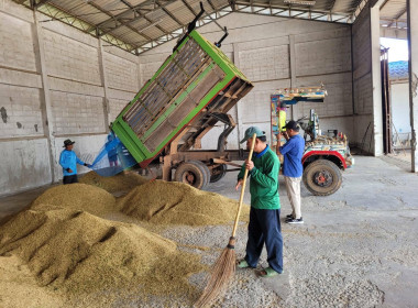 แนะนำการรวบรวมผลผลิต (ข้าวเปลือก) สหกรณ์การเกษตรห้วยแถลง ... พารามิเตอร์รูปภาพ 3