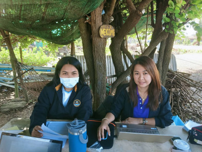 ตรวจสอบกิจการและฐานะการเงินของ ... พารามิเตอร์รูปภาพ 1