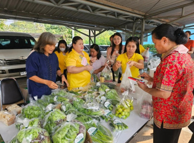 กระจายผลผลิตทางการเกษตรของสมาชิกสหกรณ์ สู่ผู้บริโภค พารามิเตอร์รูปภาพ 2