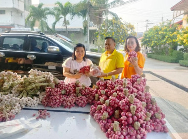 กระจายผลผลิตทางการเกษตรของสมาชิกสหกรณ์ สู่ผู้บริโภค พารามิเตอร์รูปภาพ 4