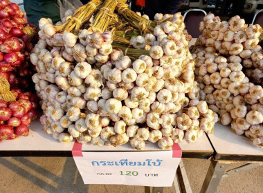 กระจายผลผลิตทางการเกษตรของสมาชิกสหกรณ์ สู่ผู้บริโภค พารามิเตอร์รูปภาพ 5