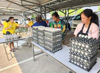 กระจายผลผลิตทางการเกษตรของสมาชิกสหกรณ์ สู่ผู้บริโภค พารามิเตอร์รูปภาพ 8