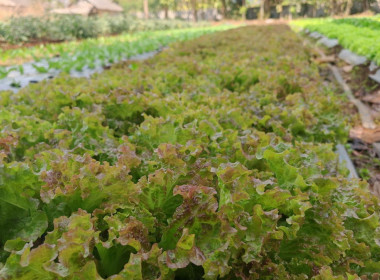 ขับเคลื่อน​แผน​พัฒนา​สหกรณ์​ฉบับ​5​ ... พารามิเตอร์รูปภาพ 1