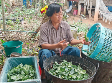 ขับเคลื่อน​แผน​พัฒนา​สหกรณ์​ฉบับ​5​ ... พารามิเตอร์รูปภาพ 3