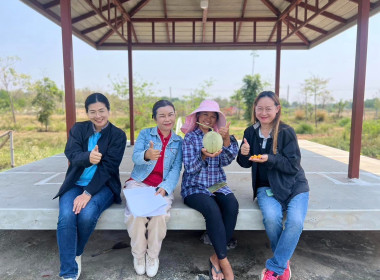 กลุ่มส่งเสริมสหกรณ์ 6 ... พารามิเตอร์รูปภาพ 2