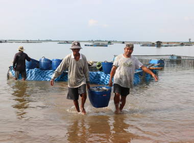 สหกรณ์จังหวัดฯ ... พารามิเตอร์รูปภาพ 5