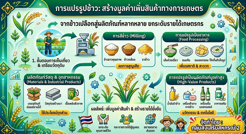 การแปรรูปข้าว สร้างมูลค่าเพิ่มสินค้าทางการเกษตร